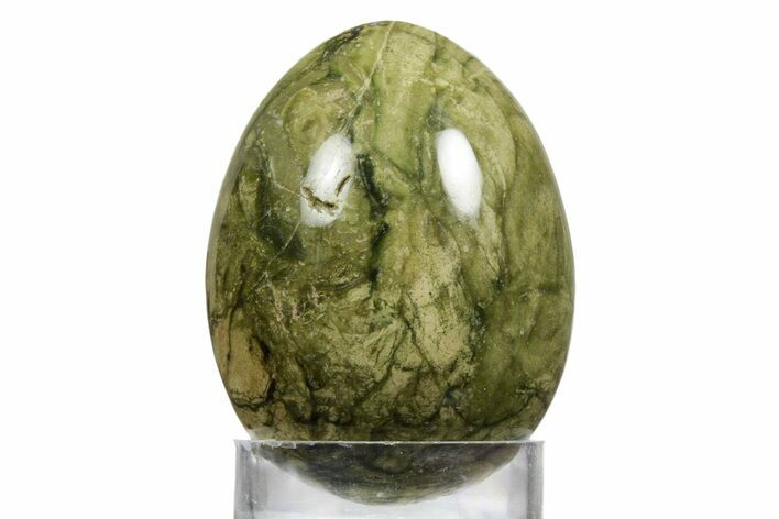 Polished Lizard Stone (Jasper) Egg - Arizona #356263